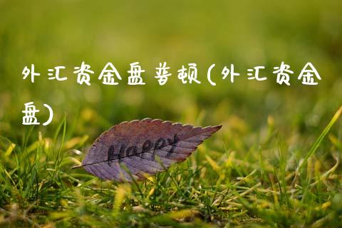 外汇资金盘普顿(外汇资金盘)_https://www.zztgc.com_黄金期货_第1张