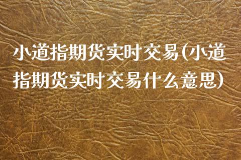 小道指期货实时交易(小道指期货实时交易什么意思)_https://www.zztgc.com_期货行情_第1张