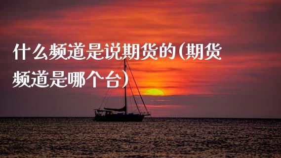 什么频道是说期货的(期货频道是哪个台)_https://www.zztgc.com_期货直播_第1张