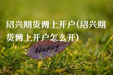绍兴期货网上开户(绍兴期货网上开户怎么开)_https://www.zztgc.com_原油期货_第1张