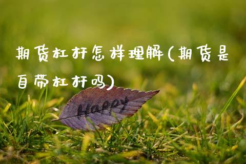 期货杠杆怎样理解(期货是自带杠杆吗)_https://www.zztgc.com_原油期货_第1张