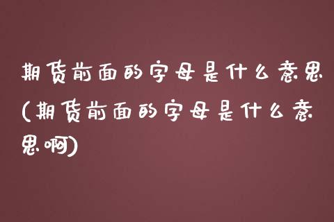 期货前面的字母是什么意思(期货前面的字母是什么意思啊)_https://www.zztgc.com_黄金期货_第1张