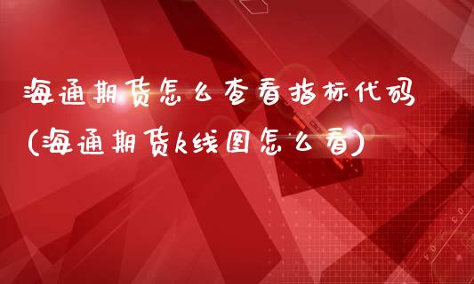 海通期货怎么查看指标代码(海通期货k线图怎么看)_https://www.zztgc.com_期货直播_第1张