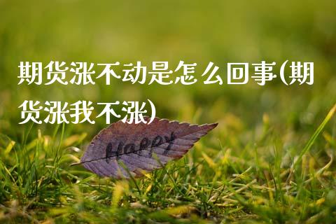 期货涨不动是怎么回事(期货涨我不涨)_https://www.zztgc.com_期货行情_第1张