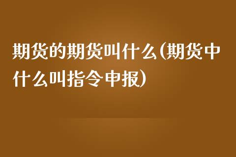期货的期货叫什么(期货中什么叫指令申报)_https://www.zztgc.com_原油期货_第1张