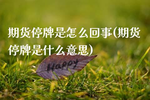期货停牌是怎么回事(期货停牌是什么意思)_https://www.zztgc.com_原油期货_第1张