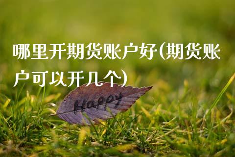哪里开期货账户好(期货账户可以开几个)_https://www.zztgc.com_期货入门_第1张