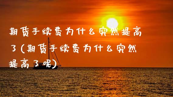 期货手续费为什么突然提高了(期货手续费为什么突然提高了呢)_https://www.zztgc.com_原油期货_第1张