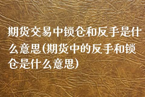 期货交易中锁仓和反手是什么意思(期货中的反手和锁仓是什么意思)_https://www.zztgc.com_期货开户_第1张