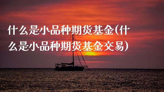 什么是小品种期货基金(什么是小品种期货基金交易)_期货行情_第1张_珍投期货网 什么是小品种期货基金(什么是小品种期货基金交易)_https://www.zztgc.com_期货行情_第1张