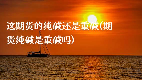 这期货的纯碱还是重碱(期货纯碱是重碱吗)_期货行情_第1张_珍投期货网 这期货的纯碱还是重碱(期货纯碱是重碱吗)_https://www.zztgc.com_期货行情_第1张