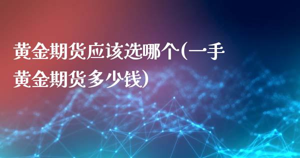黄金期货应该选哪个(一手黄金期货多少钱)_https://www.zztgc.com_期货行情_第1张