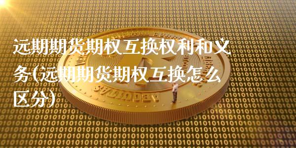 远期期货期权互换权利和义务(远期期货期权互换怎么区分)_https://www.zztgc.com_期货直播_第1张