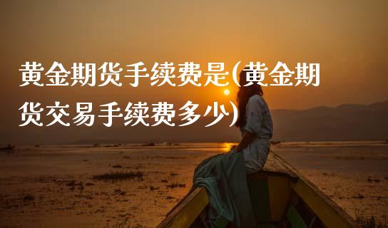 黄金期货手续费是(黄金期货交易手续费多少)_https://www.zztgc.com_期货开户_第1张