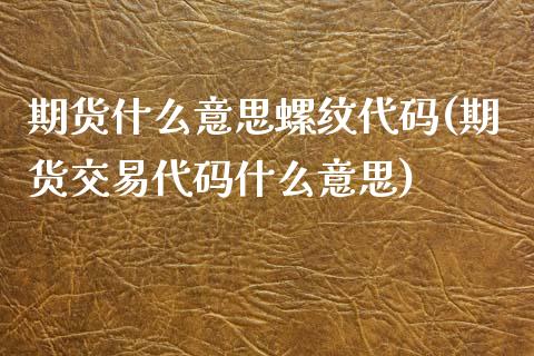 期货什么意思螺纹代码(期货交易代码什么意思)_https://www.zztgc.com_期货入门_第1张