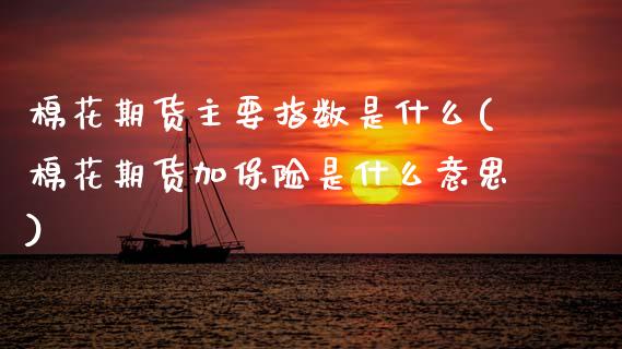 棉花期货主要指数是什么(棉花期货加保险是什么意思)_https://www.zztgc.com_期货入门_第1张