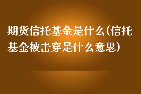 期货信托基金是什么(信托基金被击穿是什么意思)_https://www.zztgc.com_期货入门_第1张