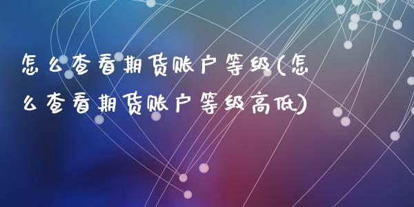 怎么查看期货账户等级(怎么查看期货账户等级高低)_https://www.zztgc.com_期货入门_第1张