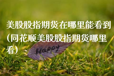 美股股指期货在哪里能看到(同花顺美股股指期货哪里看)_https://www.zztgc.com_黄金期货_第1张