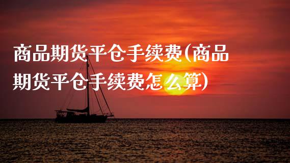 商品期货平仓手续费(商品期货平仓手续费怎么算)_https://www.zztgc.com_期货入门_第1张