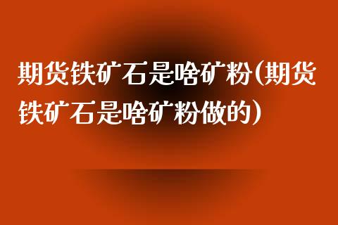 期货铁矿石是啥矿粉(期货铁矿石是啥矿粉做的)_https://www.zztgc.com_原油期货_第1张