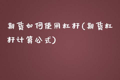 期货如何使用杠杆(期货杠杆计算公式)_https://www.zztgc.com_期货直播_第1张