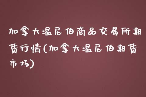 加拿大温尼伯商品交易所期货行情(加拿大温尼伯期货市场)_https://www.zztgc.com_期货开户_第1张