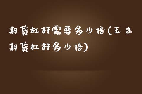 期货杠杆需要多少倍(玉米期货杠杆多少倍)_https://www.zztgc.com_期货行情_第1张