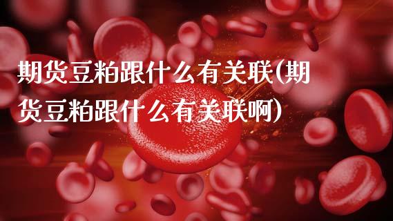 期货豆粕跟什么有关联(期货豆粕跟什么有关联啊)_https://www.zztgc.com_期货入门_第1张