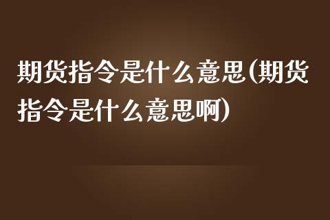 期货指令是什么意思(期货指令是什么意思啊)_https://www.zztgc.com_期货直播_第1张
