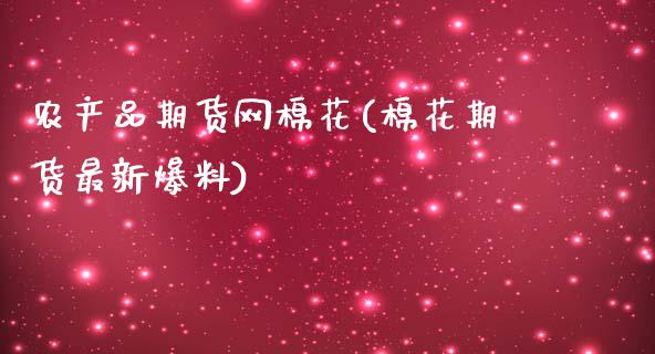 农产品期货网棉花(棉花期货最新爆料)_https://www.zztgc.com_原油期货_第1张