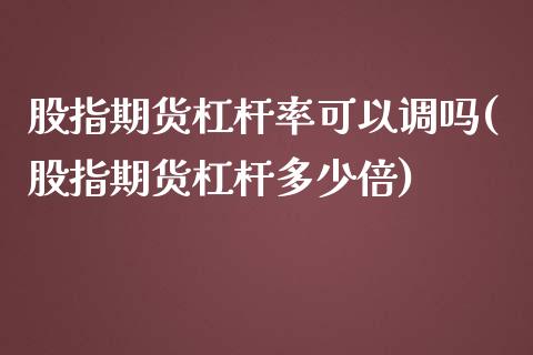 股指期货杠杆率可以调吗(股指期货杠杆多少倍)_https://www.zztgc.com_期货直播_第1张