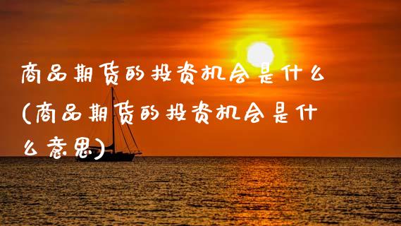 商品期货的投资机会是什么(商品期货的投资机会是什么意思)_https://www.zztgc.com_黄金期货_第1张