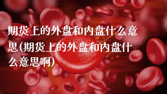 期货上的外盘和内盘什么意思(期货上的外盘和内盘什么意思啊)_https://www.zztgc.com_期货入门_第1张