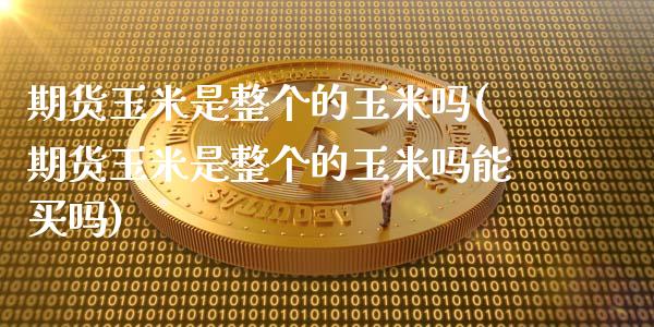 期货玉米是整个的玉米吗(期货玉米是整个的玉米吗能买吗)_https://www.zztgc.com_期货行情_第1张