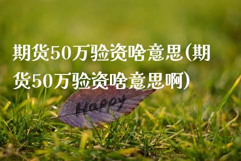 期货50万验资啥意思(期货50万验资啥意思啊)_https://www.zztgc.com_原油期货_第1张