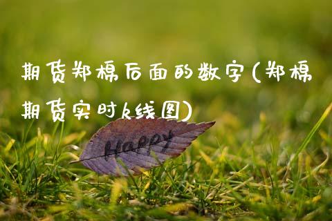期货郑棉后面的数字(郑棉期货实时k线图)_https://www.zztgc.com_期货入门_第1张