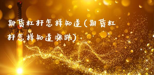 期货杠杆怎样知道(期货杠杆怎样知道涨跌)_https://www.zztgc.com_期货直播_第1张
