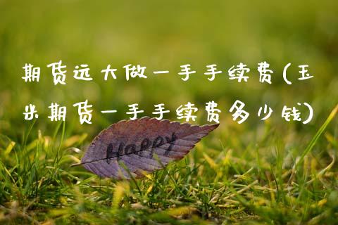 期货远大做一手手续费(玉米期货一手手续费多少钱)_https://www.zztgc.com_期货开户_第1张