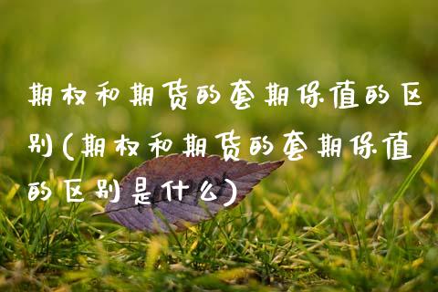 期权和期货的套期保值的区别(期权和期货的套期保值的区别是什么)_https://www.zztgc.com_期货直播_第1张