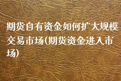 期货自有资金如何扩大规模交易市场(期货资金进入市场)_https://www.zztgc.com_期货直播_第1张