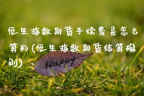 恒生指数期货手续费是怎么算的(恒生指数期货结算规则)_https://www.zztgc.com_原油期货_第1张