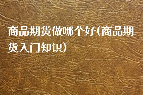 商品期货做哪个好(商品期货入门知识)_https://www.zztgc.com_原油期货_第1张