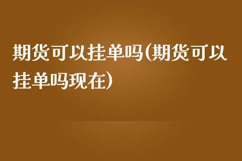 期货可以挂单吗(期货可以挂单吗现在)_https://www.zztgc.com_期货入门_第1张