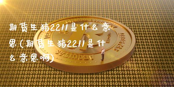 期货生猪2211是什么意思(期货生猪2211是什么意思啊)_https://www.zztgc.com_黄金期货_第1张