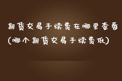 期货交易手续费在哪里查看(哪个期货交易手续费低)_https://www.zztgc.com_原油期货_第1张
