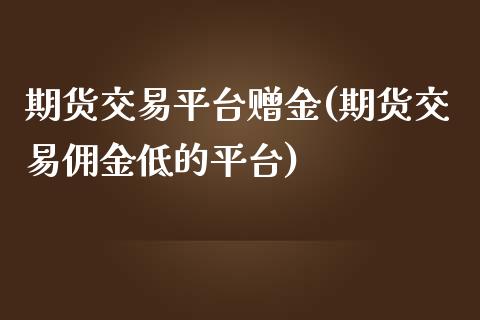 期货交易平台赠金(期货交易佣金低的平台)_https://www.zztgc.com_原油期货_第1张
