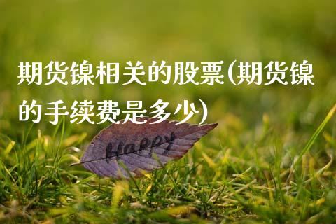 期货镍相关的股票(期货镍的手续费是多少)_https://www.zztgc.com_原油期货_第1张