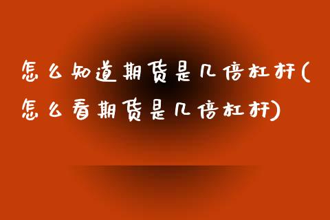 怎么知道期货是几倍杠杆(怎么看期货是几倍杠杆)_https://www.zztgc.com_期货行情_第1张