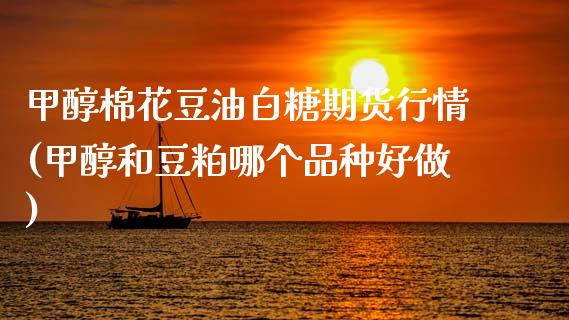 甲醇棉花豆油白糖期货行情(甲醇和豆粕哪个品种好做)_https://www.zztgc.com_原油期货_第1张